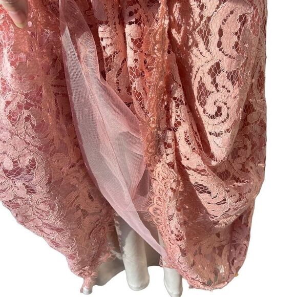 Tadashi Shoji blush Evening Dress Gown Cocktail Wedding Lace Lined Pink Size 12 - Picture 8 of 14